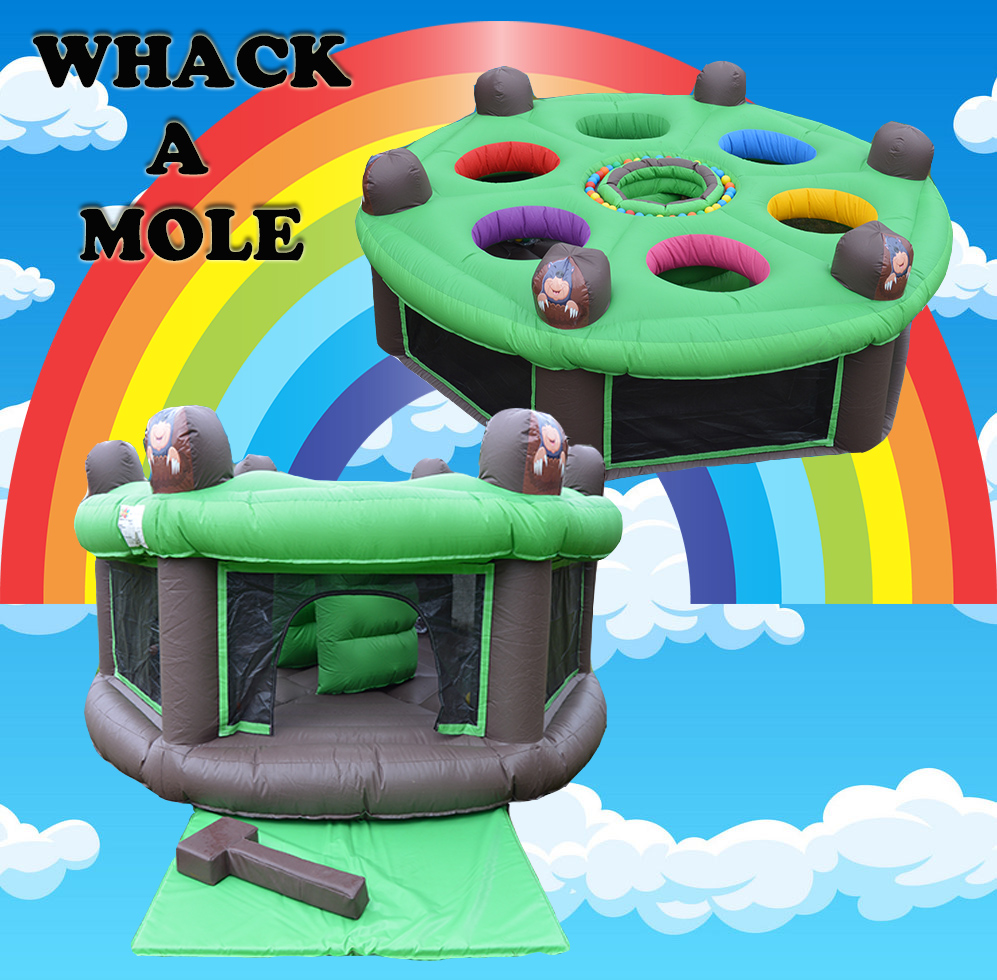 What-a-Mole outdoor game